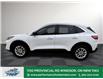2022 Ford Escape SE (Stk: TL51022) in Windsor - Image 3 of 29