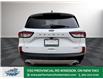 2022 Ford Escape SE (Stk: TL51022) in Windsor - Image 6 of 29