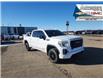 2022 GMC Sierra 1500 Limited AT4 (Stk: 45039A) in Fairview - Image 1 of 30