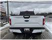 2018 Ford F-150  (Stk: A4609) in Miramichi - Image 8 of 30