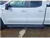 2024 Chevrolet Silverado 1500 RST (Stk: N250074A) in Stony Plain - Image 4 of 50