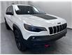 2019 Jeep Cherokee Trailhawk (Stk: 3580) in Lethbridge - Image 8 of 28