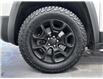 2019 Jeep Cherokee Trailhawk (Stk: 3580) in Lethbridge - Image 11 of 28