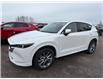 2025 Mazda CX-5 GT (Stk: 225-88) in Pembroke - Image 1 of 1