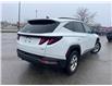 2024 Hyundai Tucson Preferred (Stk: 115611) in London - Image 5 of 9