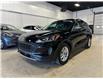 2022 Ford Escape SE Hybrid (Stk: P13729) in Calgary - Image 1 of 19