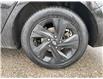 2023 Hyundai Elantra Preferred (Stk: 108240) in London - Image 8 of 9
