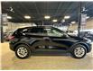 2022 Ford Escape SE Hybrid (Stk: P13729) in Calgary - Image 6 of 19