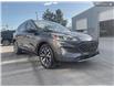 2020 Ford Escape SEL (Stk: P5098A) in Kamloops - Image 26 of 26