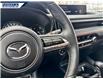 2024 Mazda CX-50 GT w/Turbo (Stk: P5378A) in Dartmouth - Image 15 of 24