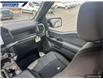2025 Ford F-150 STX (Stk: 26896) in Dartmouth - Image 24 of 24