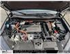 2025 Honda CR-V Hybrid EX-L (Stk: 2501355) in North York - Image 14 of 29