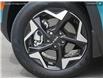 2025 Kia Seltos EX Premium (Stk: 25SE6833) in Edmonton - Image 7 of 22