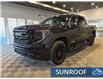 2025 GMC Sierra 1500 Elevation (Stk: 5SR13517) in STETTLER - Image 3 of 19