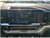 2025 Chevrolet Silverado 1500 RST (Stk: Z195015) in Newmarket - Image 17 of 20