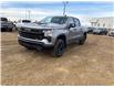 2024 Chevrolet Silverado 1500 LT Trail Boss (Stk: 25158A) in Rimbey - Image 1 of 14