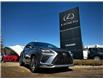 2021 Lexus NX 300 Base (Stk: 250655A) in Calgary - Image 7 of 23