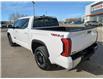 2025 Toyota Tundra SR (Stk: 259113) in Moose Jaw - Image 8 of 20