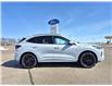 2025 Ford Escape ST-Line Elite (Stk: S77478) in Hague - Image 1 of 14