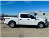 2019 Ford F-150 XLT (Stk: 15818) in Okotoks - Image 4 of 13