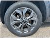 2025 Kia Seltos EX (Stk: P0785) in Petawawa - Image 10 of 26