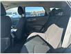 2023 Kia Sportage LX (Stk: 11135) in Winnipeg - Image 17 of 23
