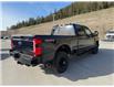 2025 Ford F-350 XL (Stk: 5T025) in Williams Lake - Image 5 of 12