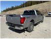 2025 Ford F-150 XLT (Stk: 5T021) in Williams Lake - Image 4 of 12