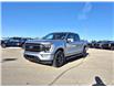 2021 Ford F-150 Lariat (Stk: A18286) in Hague - Image 4 of 15