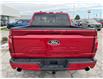 2025 Ford F-150 XLT (Stk: LFFF00265) in Tilbury - Image 4 of 15