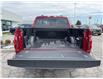 2025 Ford F-150 XLT (Stk: LFFF00265) in Tilbury - Image 5 of 15