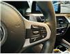 2018 BMW M550i xDrive (Stk: A8928) in Saint-Eustache - Image 20 of 36