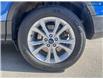 2019 Ford Escape SE (Stk: J5127A) in Kamloops - Image 6 of 26