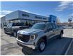 2025 GMC Sierra 1500 Pro (Stk: 25142) in Green Valley - Image 1 of 14
