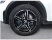 2020 Mercedes-Benz GLC 300 Base (Stk: B3236) in Cornwall - Image 30 of 30