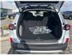 2025 Ford Escape Active (Stk: LFEP00273) in Tilbury - Image 5 of 15