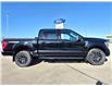 2023 Ford F-150 Tremor (Stk: U99021) in Hague - Image 1 of 15