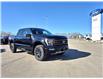 2023 Ford F-150 Tremor (Stk: U99021) in Hague - Image 2 of 15