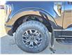 2023 Ford F-150 Tremor (Stk: U99021) in Hague - Image 10 of 15