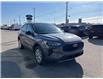 2025 Ford Escape Active (Stk: VFEP00723) in Chatham - Image 5 of 19