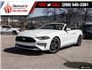 2022 Ford Mustang EcoBoost (Stk: A1679) in Vernon - Image 6 of 30