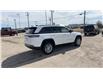 2025 Jeep Grand Cherokee Laredo (Stk: S117) in Leduc - Image 5 of 18