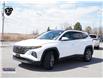 2022 Hyundai Tucson Plug-In Hybrid Ultimate (Stk: KZ261A) in Ottawa - Image 6 of 24