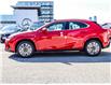 2025 Lexus UX 300h Base (Stk: 25467) in Toronto - Image 5 of 22