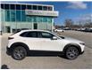 2025 Mazda CX-30 GS (Stk: CMGZ00157) in Chatham - Image 4 of 20