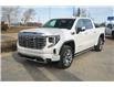 2023 GMC Sierra 1500 Denali (Stk: 48427U) in Red Deer - Image 7 of 28