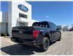 2025 Ford F-150 XLT (Stk: LFFF00294) in Tilbury - Image 3 of 15