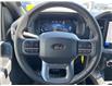 2025 Ford F-150 XLT (Stk: LFFF00294) in Tilbury - Image 11 of 15