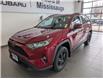 2019 Toyota RAV4 XLE (Stk: 250013a) in Mississauga - Image 4 of 24