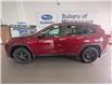 2019 Toyota RAV4 XLE (Stk: 250013a) in Mississauga - Image 5 of 24